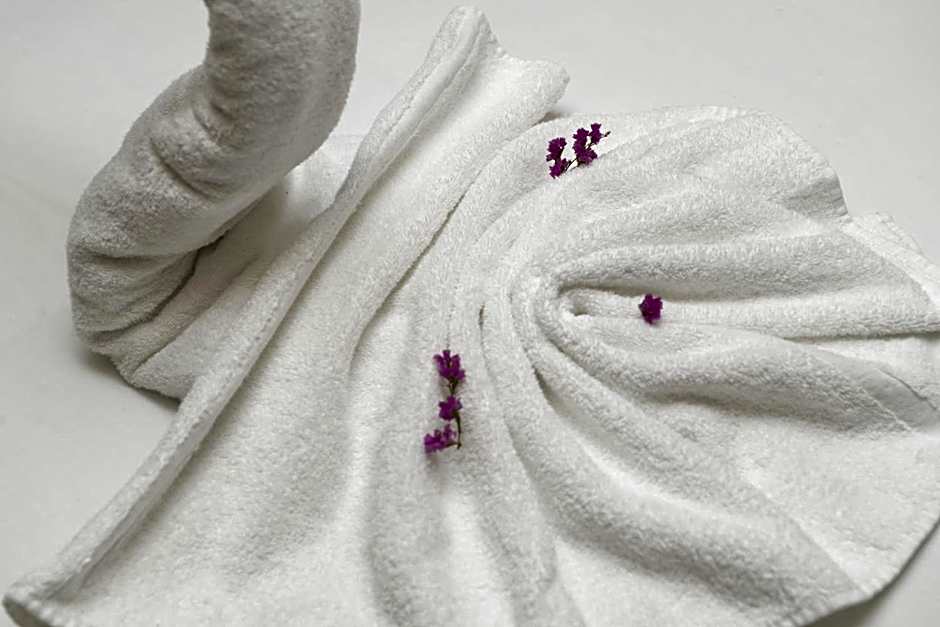 Hotel Gastronómico Casa Rosalia