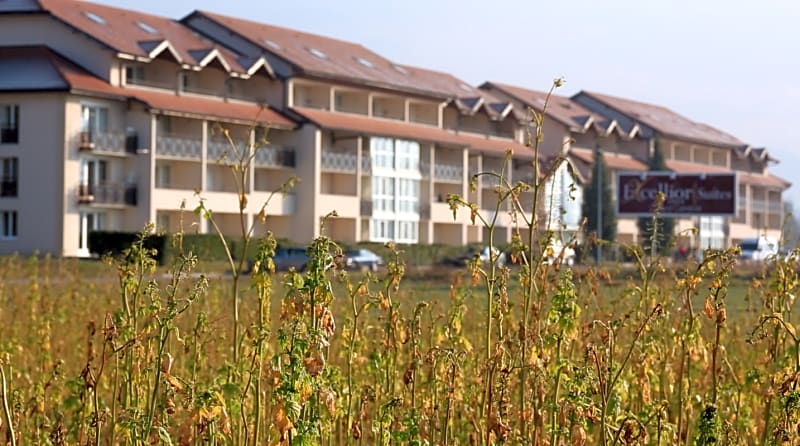 Adonis Excellior Grand Gen¿