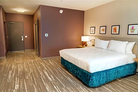 1 King Accessible Room Roll In Shower Non-Smoking