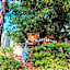 YHA Grampians Eco, Halls Gap