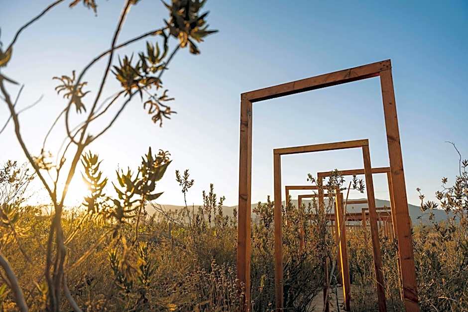 Banyan Tree Veya, Valle de Guadalupe