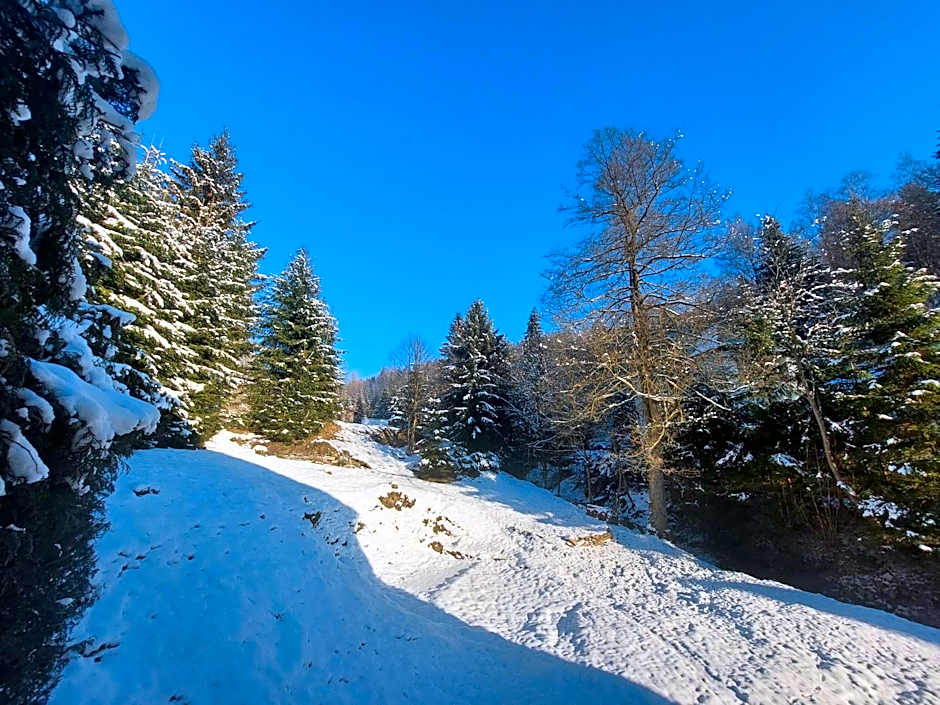 Rezidence GreenHill ⃰ ⃰ ⃰