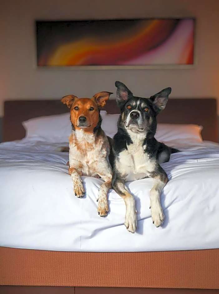 Grand Hyatt Denver