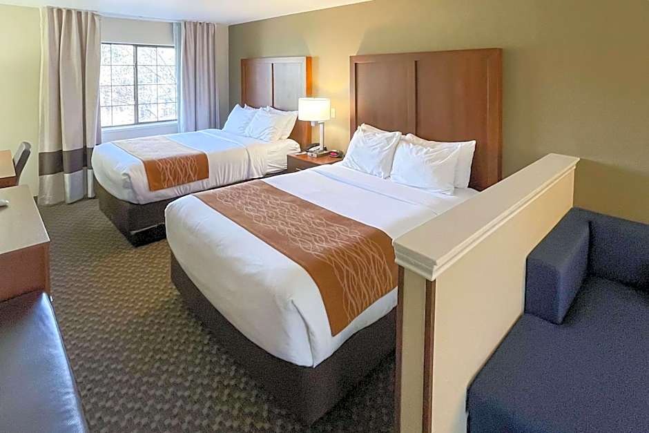 Comfort Inn & Suites Midtown