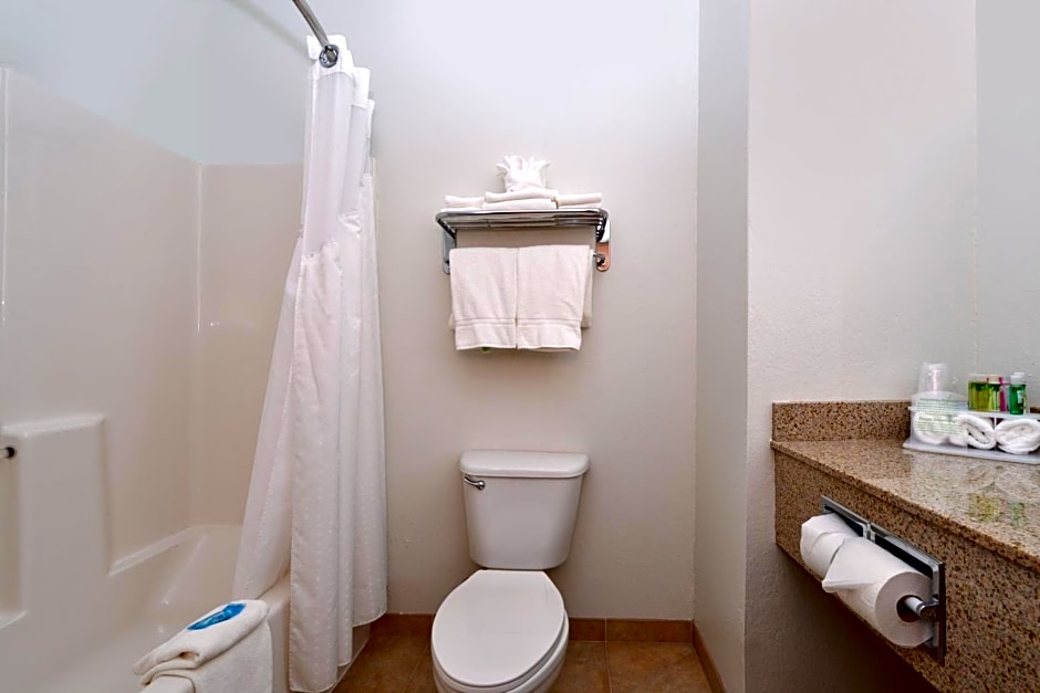Holiday Inn Express Hotel & Suites Omaha West By IHG