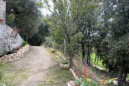 B&B IL Leccio NEL BOSCO