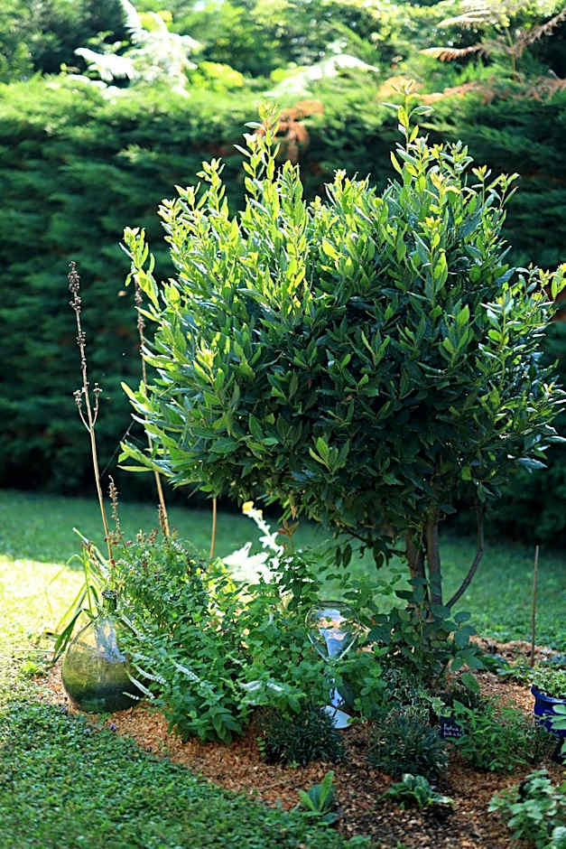 A l'Ecole Buissonnière, chambre d'hôtes en Sidobre