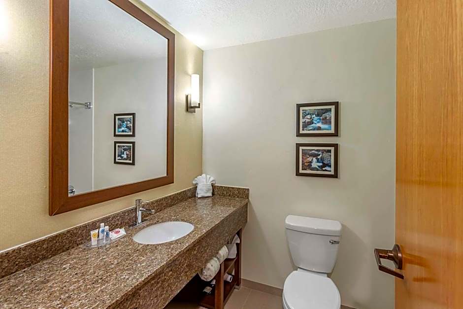 Comfort Suites Ogden Conference Center