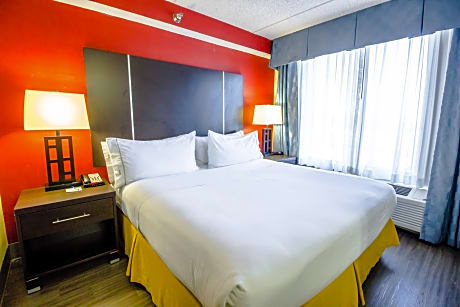 Suite Executive King Bed