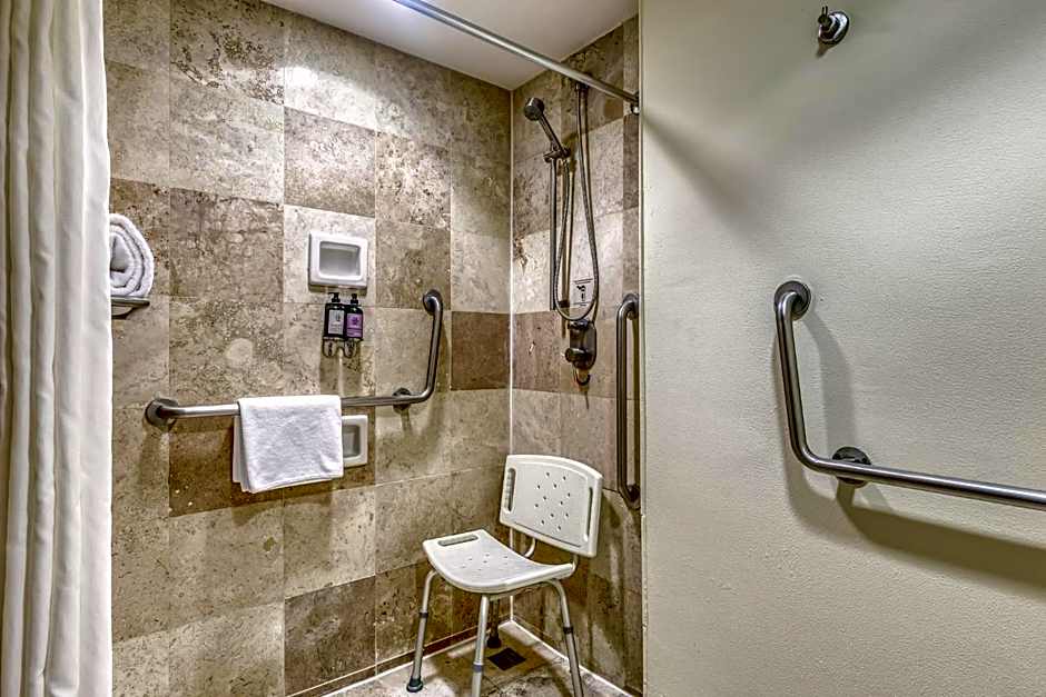 Fiesta Inn Centro Historico