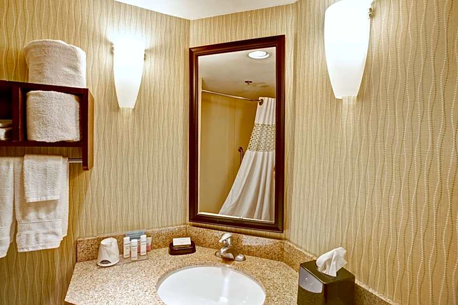 Hampton Inn By Hilton College Station