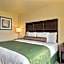Cobblestone Inn & Suites - Linton