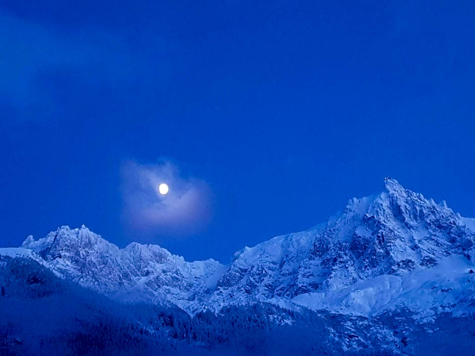 Alpenrose Chamonix