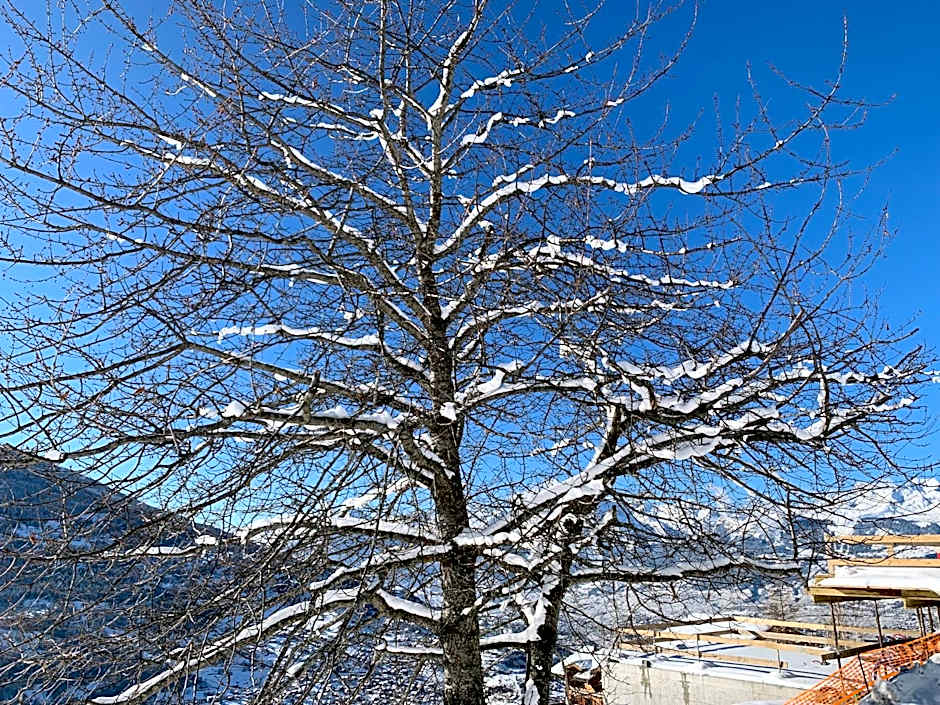 La Cure de Vernamiège