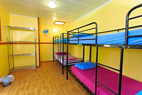 Bed in 6-Bed Mixed Dormitory Room