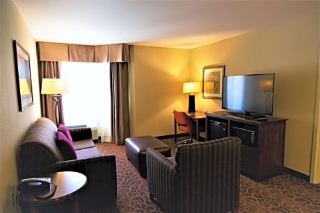  1 KING BED 1 BEDROOM SUITE NONSMOKING - HDTV/FREE WI-FI/LIVING ROOM/ - HOT BREAKFAST INCLUDED -