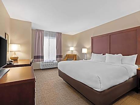 Standard King Room - Non Smoking