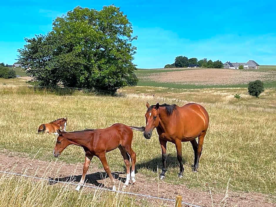 Rynge teaters boningshus