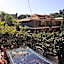 EMI's Guest House