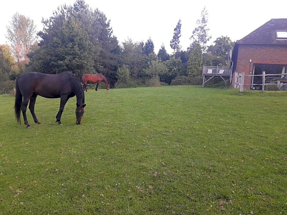 Moaps Farm B&B support small business, welcome, check in from 5 pm