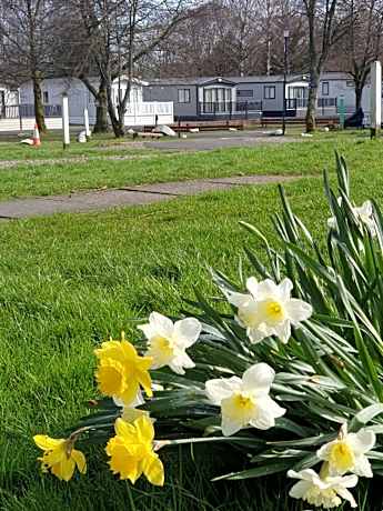 Lomond Woods Holiday Park