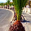 Bungalows Castillo Beach
