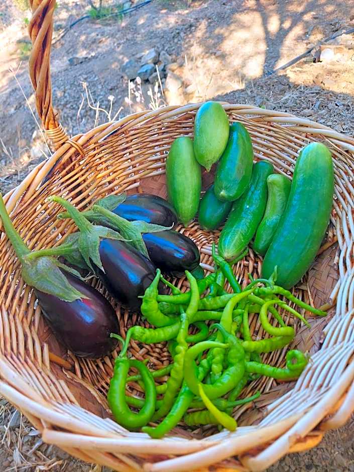 KAZDAĞLARI ZEYTUNİHAN BUTİK OTEL