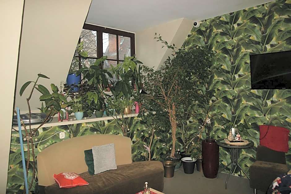 Hostel Universus