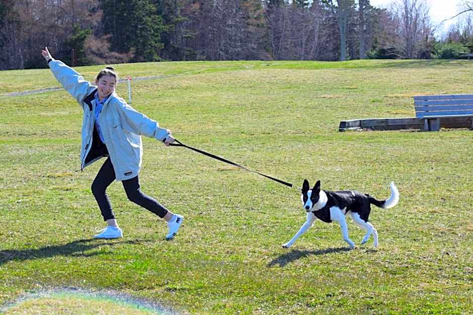 Braeside Country Inn