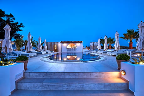 Petri Suites