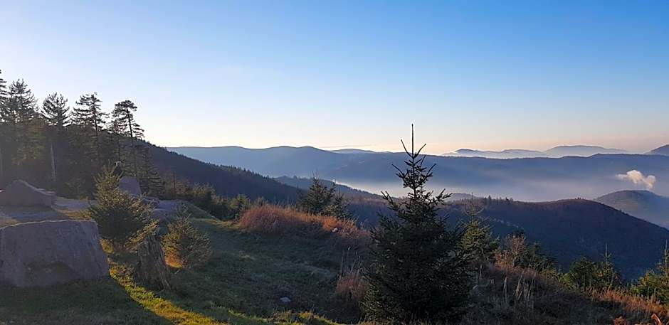 Wellness-Hotel Talblick