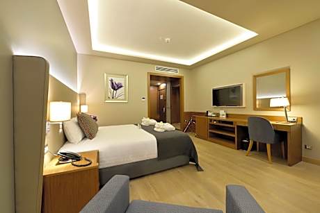 Executive Room - Smoking