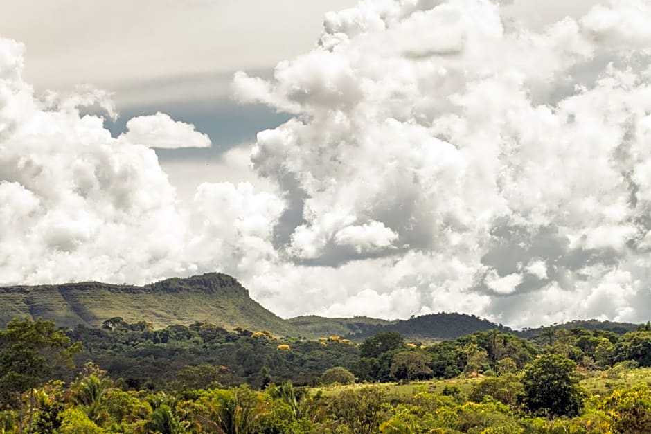 Raizando Ecologia Humana