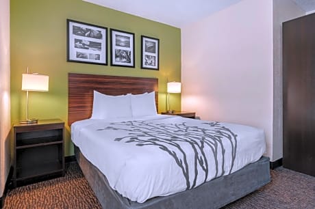 Efficiency King Room - Accessible/Non-Smoking