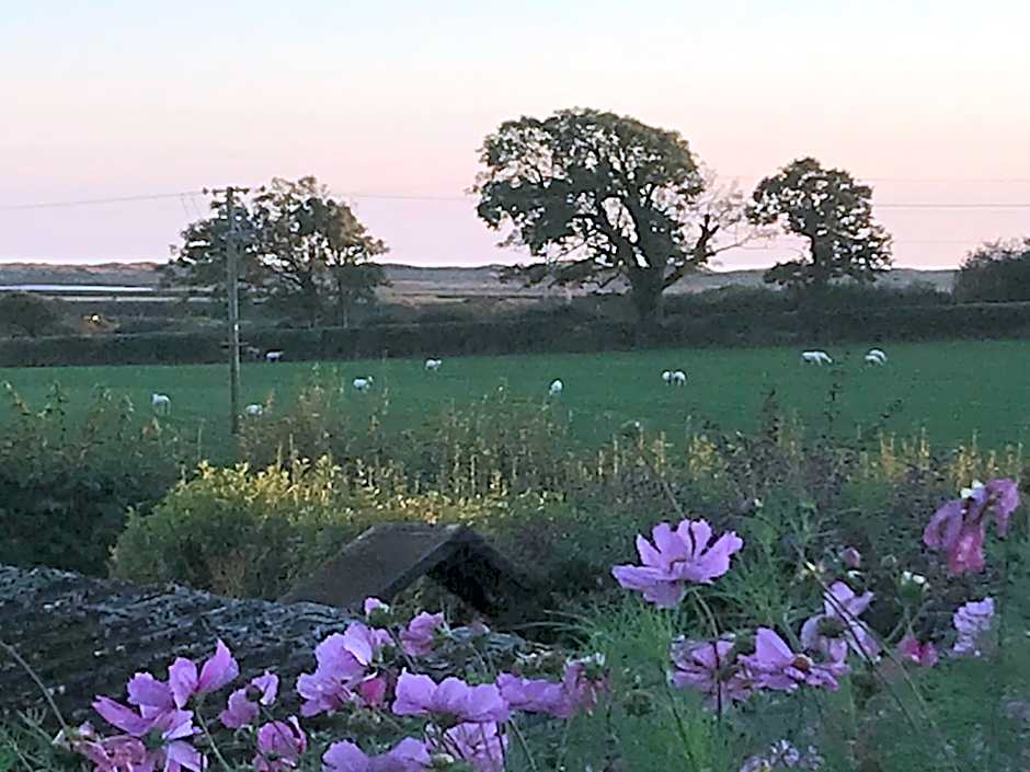 Dale View bed & breakfast