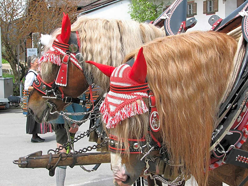 Aktivhotel & Gasthof Schmelz Ihr familienfreundliches Urlaubs Hotel mit Wellness Hallenbad, Alpensauna neu ab Februar 2026 Chiemgau Karte