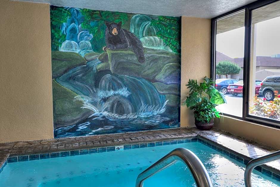 Comfort Inn & Suites At Dollywood Lane