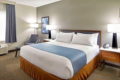 1 King Bed Deluxe Room Non-Smoking