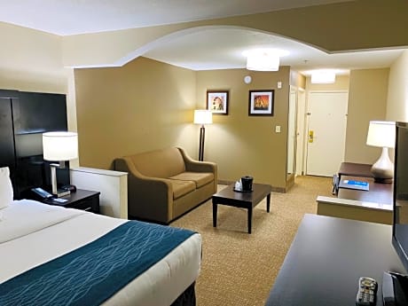 Comfort Inn & Suites Atlanta/Smyrna