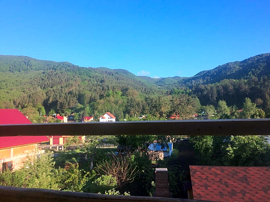 Casa de Vacanta Neagu