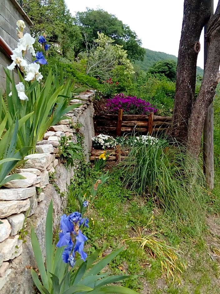 Bed & Breakfast SENTIERO 54