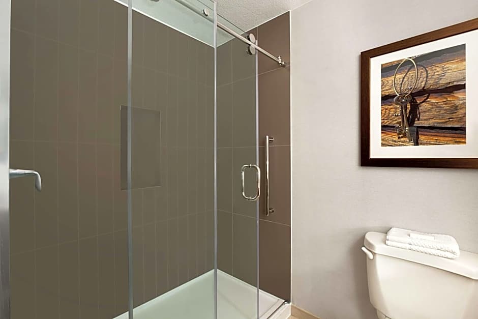 Embassy Suites By Hilton Dallas - Dfw Airport North At Outdoor World