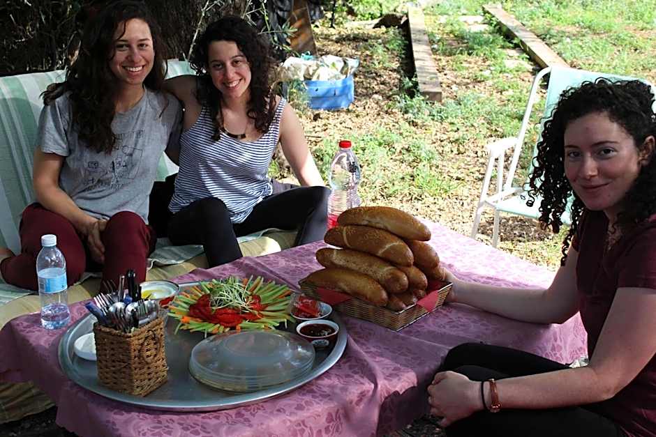 שבט אחים - חאן, קרון רכבת ודירת סטודיו - חווית אירוח כפרית