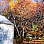 Resort Arrowtown