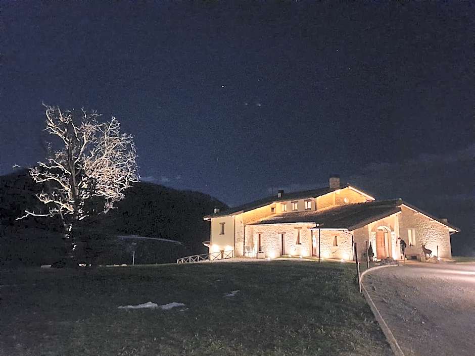 Aura Relais