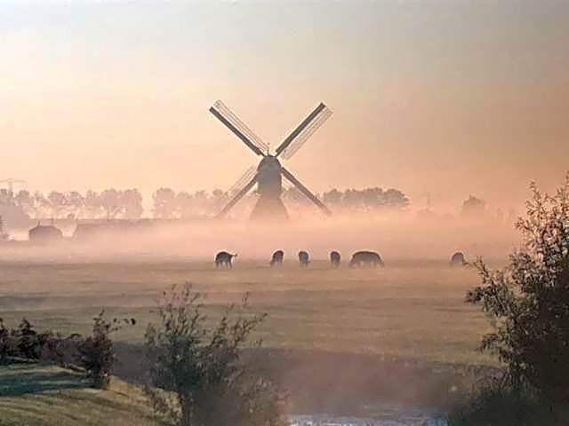 Vertoeven bij Verhoeven