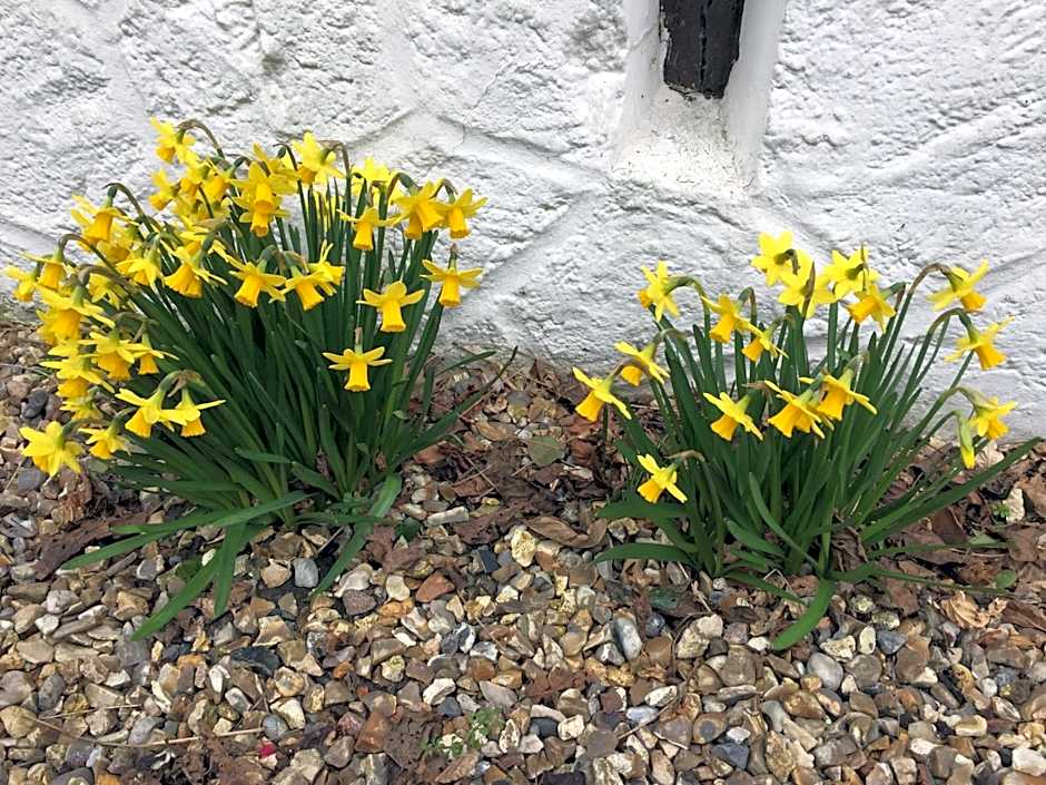 Chambre d'hotes Murielle