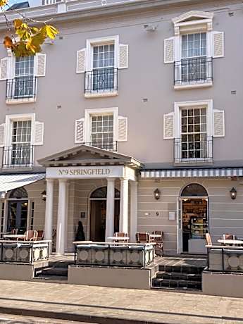 No 9 Springfield