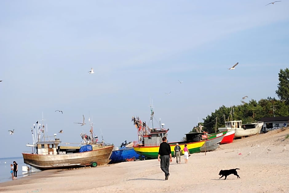 Domki letniskowe Rafa