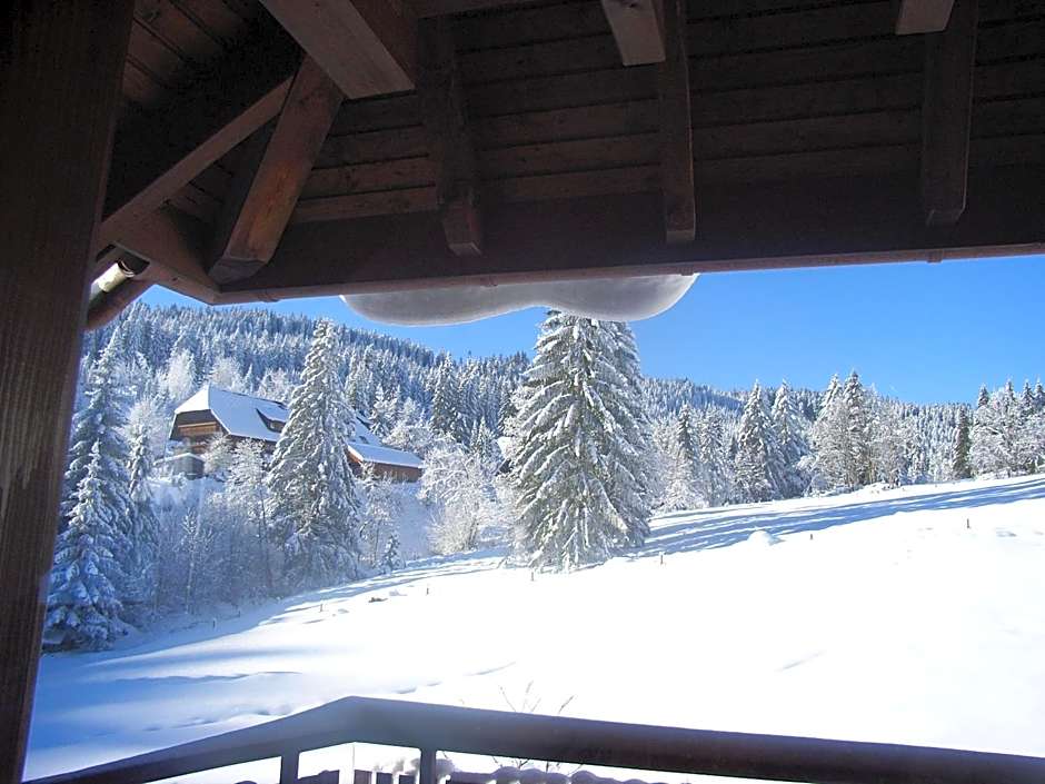 Schwarzwald-Hotel Kraeutle